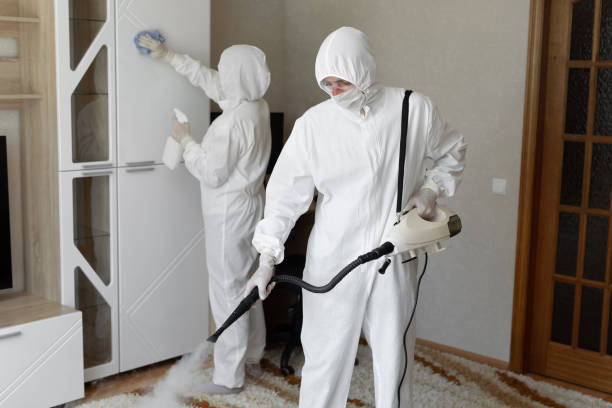 Best Toxic Mold Removal  in Pine Ridge, FL