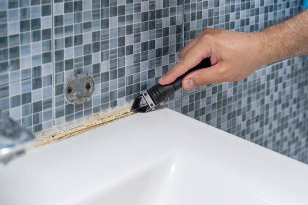 Best Best Mold Removal Companies  in Pine Ridge, FL