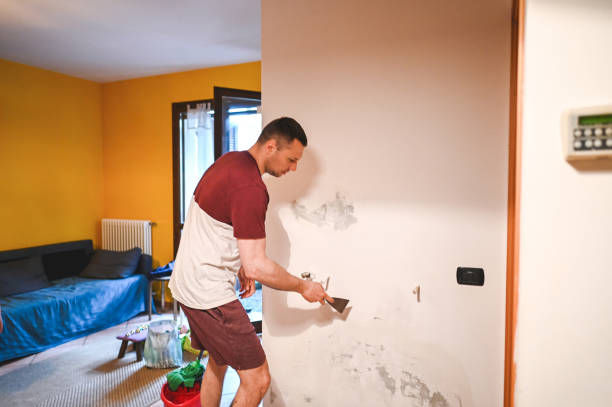 Best Attic Mold Removal  in Pine Ridge, FL